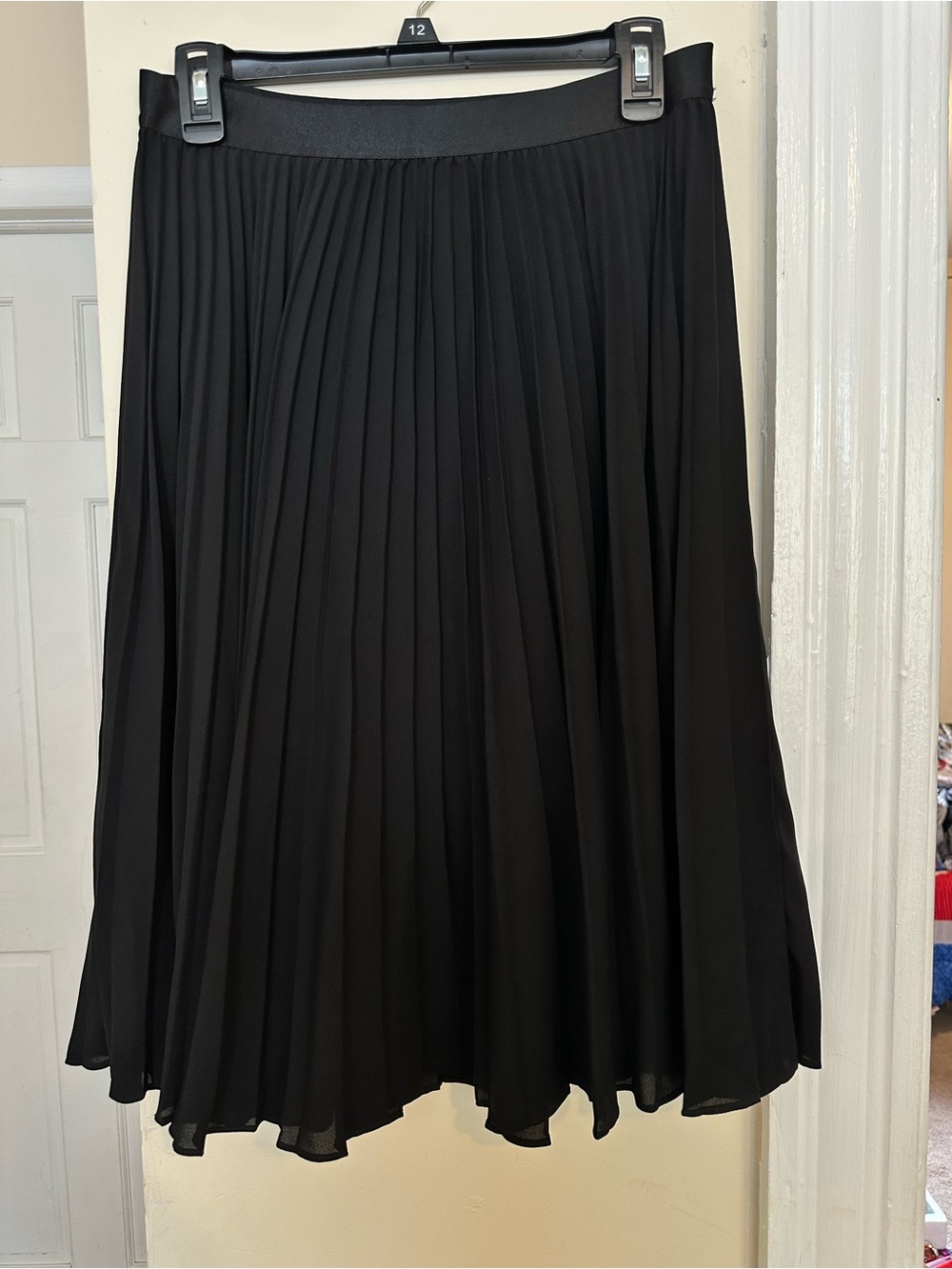 Express Black Pleated Circle Skirt